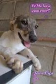 CIÇA, amada!!