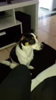 Bel