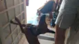 Stiven