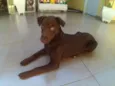 Kira