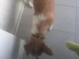 Zezinho
