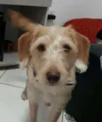 Mel
