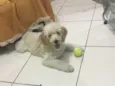 Sam
