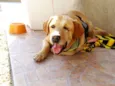 Zeus
