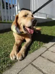 Zeus