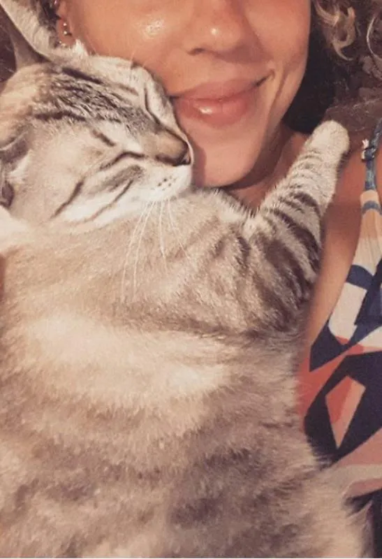 Gato ra a SRD idade 3 anos nome Ariel e Marie