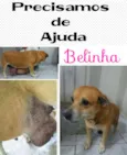 Belinha