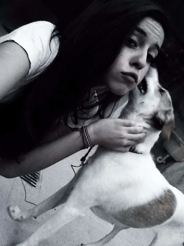 Cachorro raça BOXER idade 6 ou mais anos nome JIMI