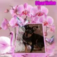 Charlinho