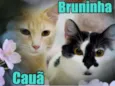 Cauã e Bruninha