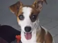 Julie