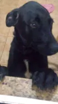 Skobby