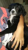 Sabrina