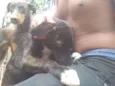 Neguinha e Neguinho