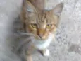 sebastian