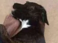 Neguinha e Neguinho