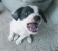 Eles Não Tem Nome