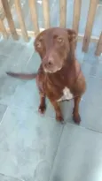 Dora