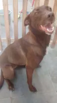 Dora