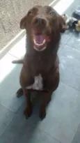 Dora