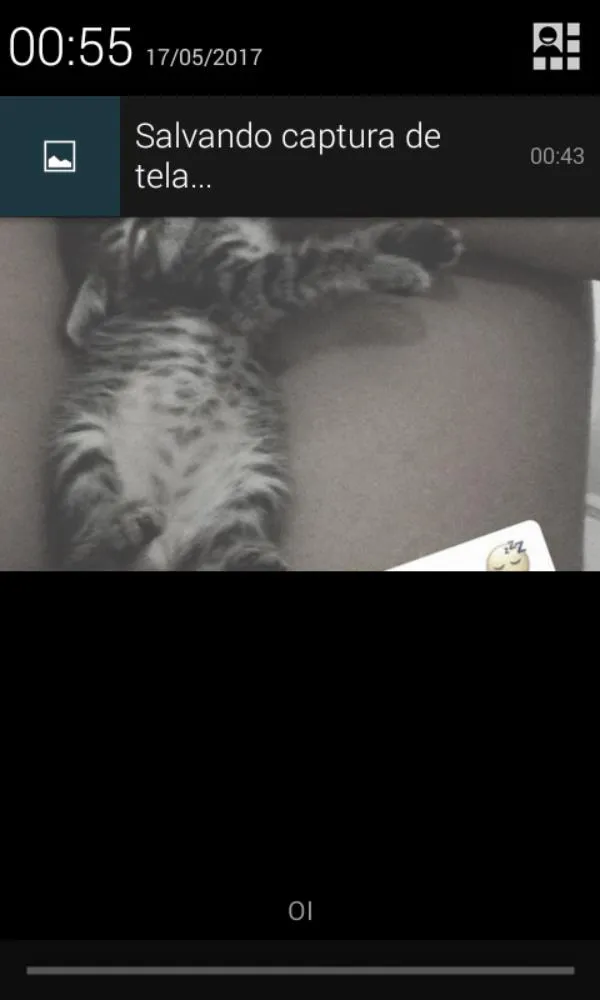 Gato ra a desconhecido idade Abaixo de 2 meses nome jeredy