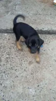 francisco