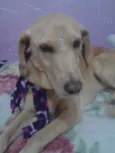 Manu