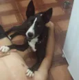 Lunna