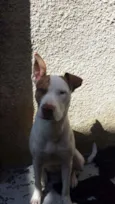 Nikita