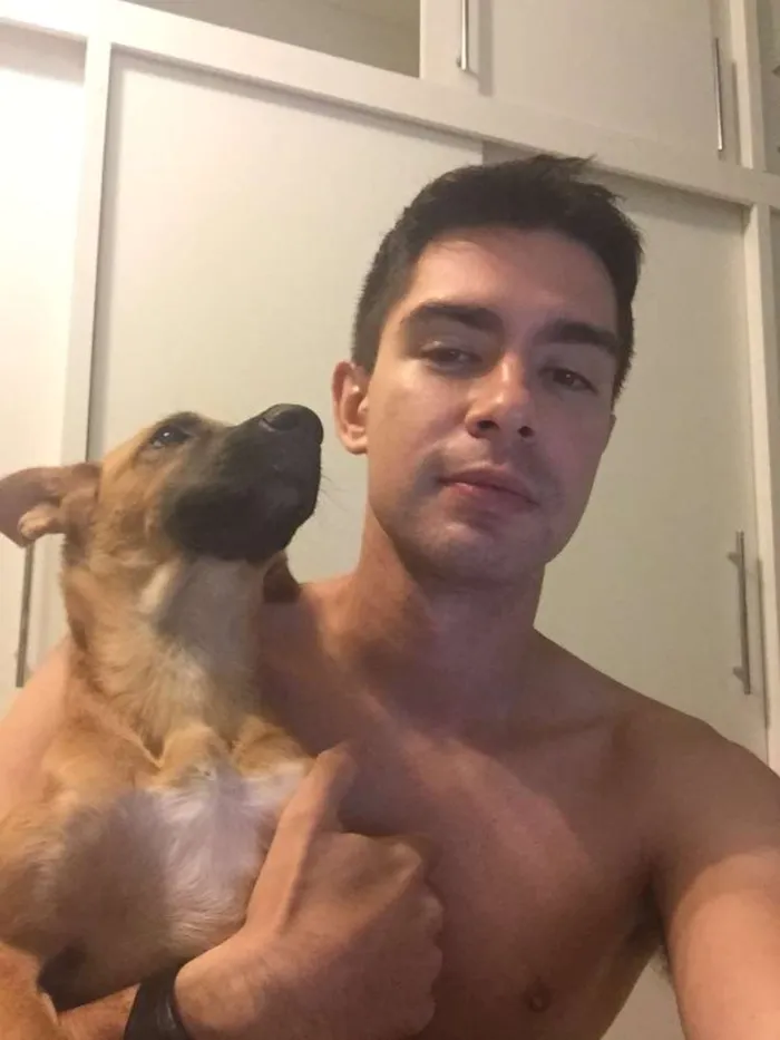 Cachorro raça SRD idade 7 a 11 meses nome Mel
