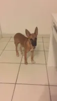 Mel