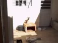 Marley