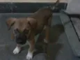 Marley