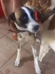 LUMA