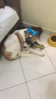 --