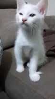 Sem Nom3