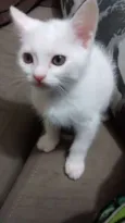 Sem Nom3
