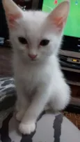 Sem Nom3