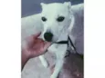 Nick