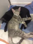 Cielo e mia