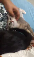 Cielo e mia