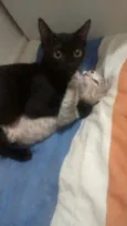 Cielo e mia