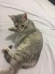 Cielo e mia