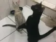 Cielo e mia