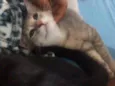 Cielo e mia