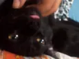 Cielo e mia