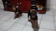 Rannah e Brenda