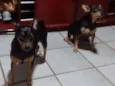 Rannah e Brenda