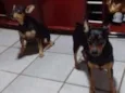 Rannah e Brenda