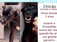 Chicao